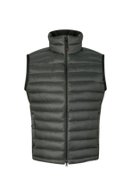 Načtěte obrázek do prohlížeče galerie, HOMER