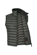 Načtěte obrázek do prohlížeče galerie, HOMER