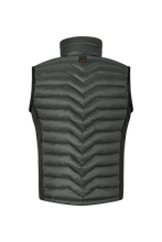 Načtěte obrázek do prohlížeče galerie, HOMER