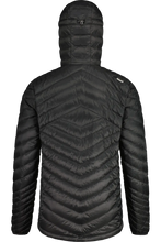 Laden Sie das Bild in den Galerie-Viewer, SteinbockM.