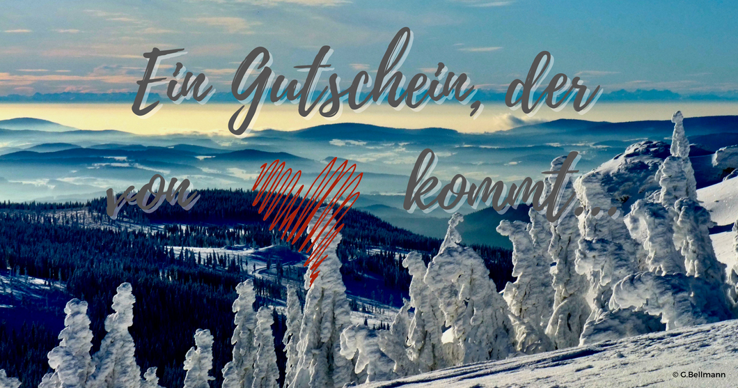 Geschenkgutschein über 1 Tag Alpin Ski-Ausrüstung